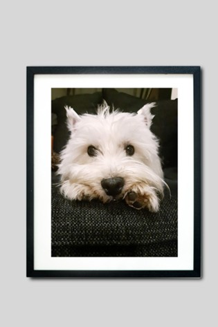 Framed Photo