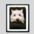 Framed Photo